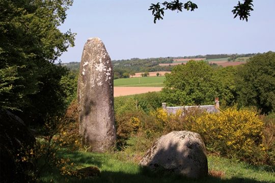 RT2023-3-1 RT2023-3-1
